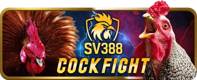 Các ưu đãi độc quyền dành cho thành viên 88VIP