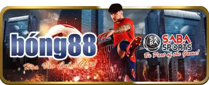 Hoàn trả thể thao hàng tuần